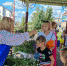 "Сибирские первоцветы" - Городской краеведческий музей