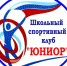 Спортивные клубы в школы - Боготольский район