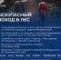 Правила безопасности при походе в лес. - Город Боготол